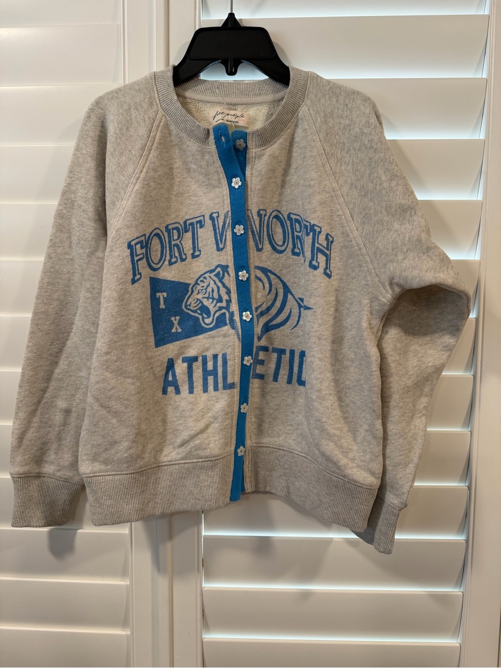 Free People Gray Sweatshirt with Blue Graphic